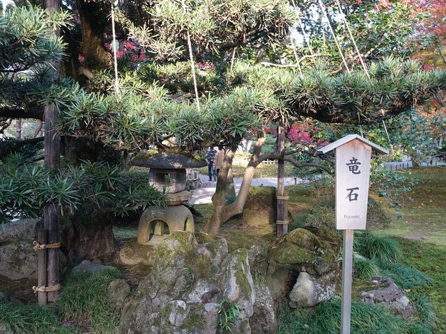 魔よけの石だそうです_龍石(兼六園)
