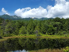 牛留池の写真1