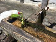 めんどりさんの果無集落の投稿写真1