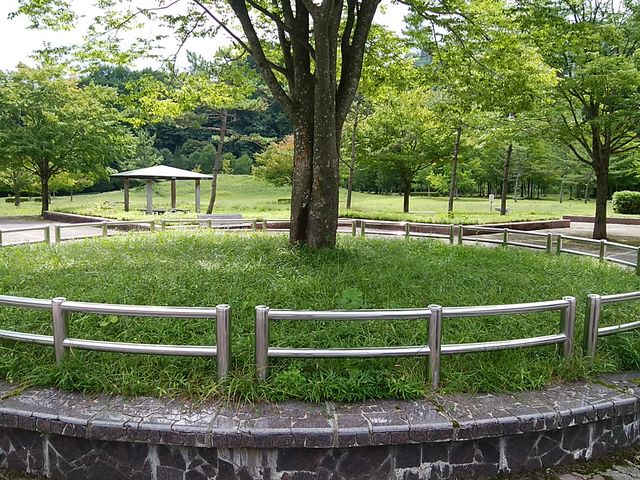 masa010さんの玉川ダム下流公園の投稿写真2