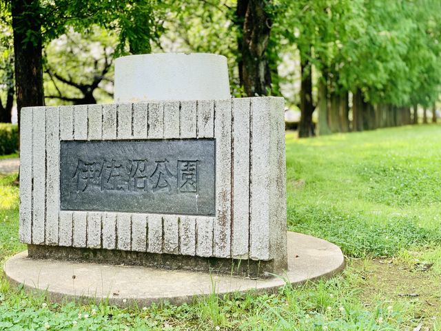 【伊佐沼公園】_伊佐沼公園