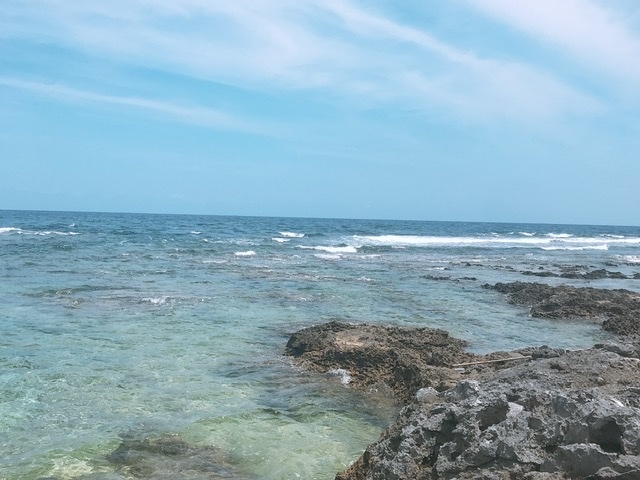 やーまんさんの宝島の投稿写真1