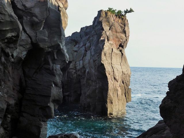 波の心_橋立つり橋