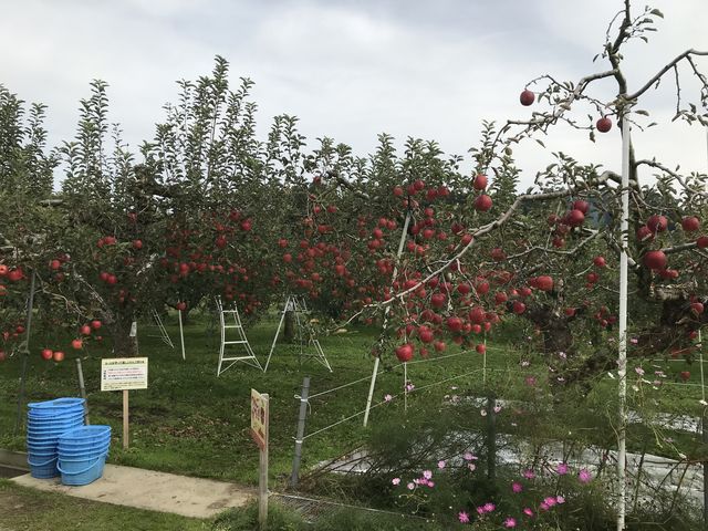 入り口_加藤農園
