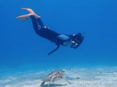 OCEANZ - オーシャンズの写真1