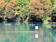 仏像さんの四万湖の投稿写真2