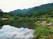 雷ちゃんさんの大沼湖の投稿写真11