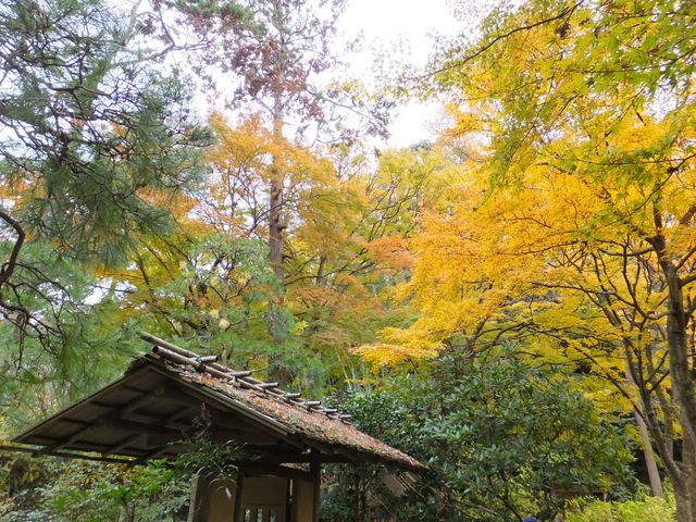 月笑軒
