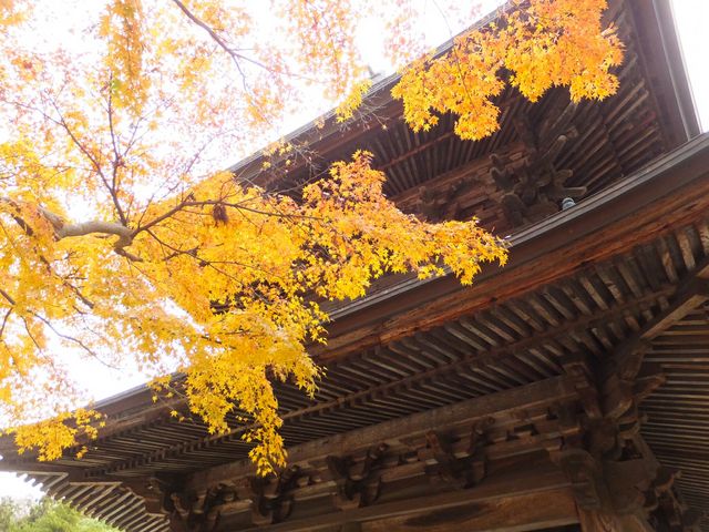 山門(円覚寺)