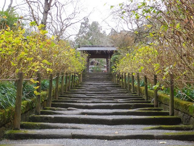 山門(明月院)