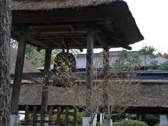 大雄寺の写真4