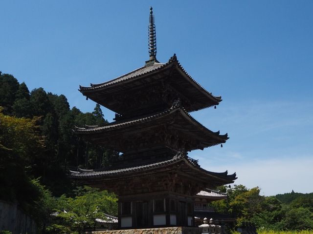 壺阪寺三重の塔_壷阪寺三重塔