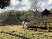 スターさんの荒神谷史跡公園の投稿写真1