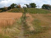 マックさんの新夕陽ヶ丘の投稿写真3