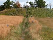 マックさんの新夕陽ヶ丘の投稿写真4