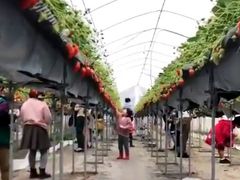 しあわせファー夢の写真1