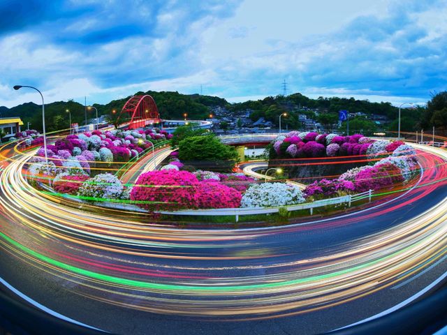 さつきが満開の時期の音戸の瀬戸でさつきを背景にした光跡写真です。_音戸の瀬戸公園の桜とツツジ