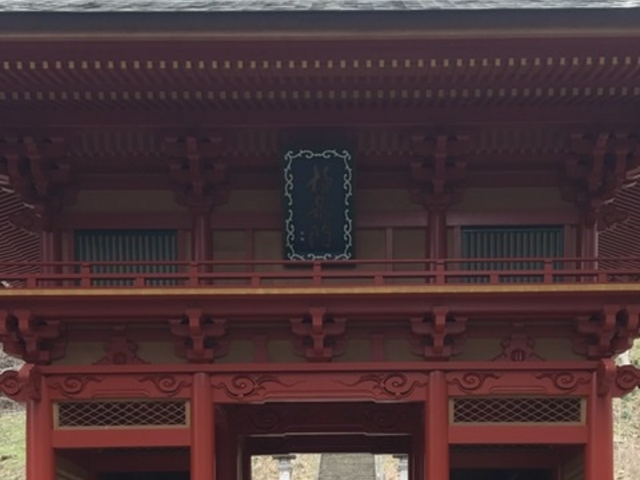 千光寺山門_千光寺の五本杉