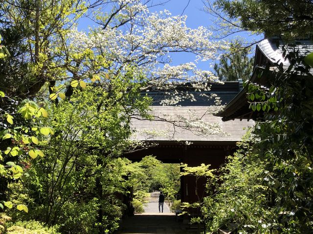 境内から見た門_龍峰寺