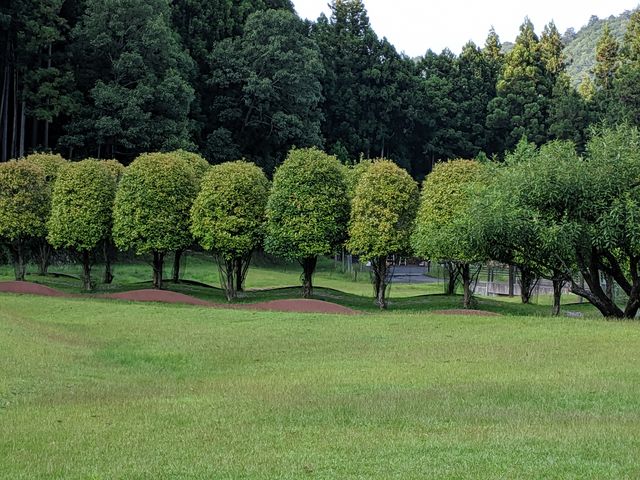 緑眩しい風景でした。これ以上の掲載、皆様が実際見た時の感動が薄れますので、省略しますね。_室生山上公園芸術の森