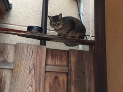 カッツさんの京友禅体験工房 丸益西村屋への投稿写真2