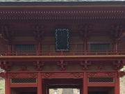 シトラさんの千光寺の五本杉の投稿写真1