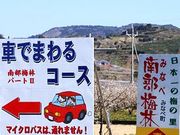 こぼらさんの南部梅林の投稿写真1