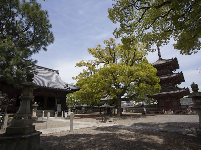 斑鳩寺_斑鳩寺