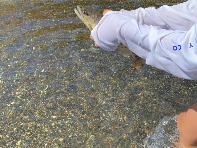 魚つかみ_フィッシングセンター水辺の館