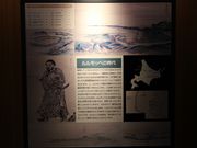 たかちゃんさんの海のふるさと館の投稿写真6