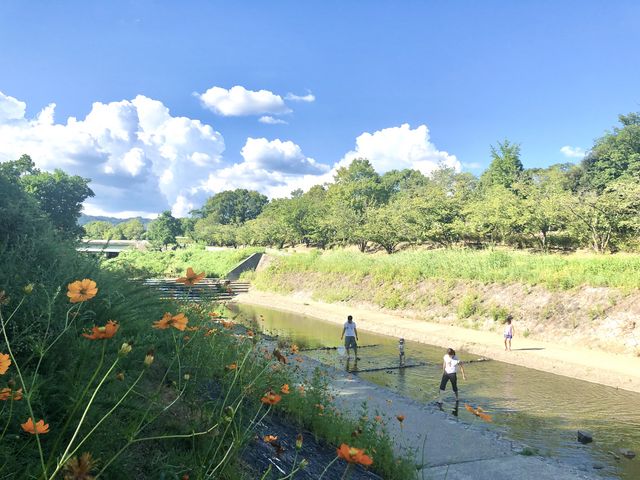 近所の川縁です。_京都竹の郷温泉 万葉の湯 ホテル京都エミナース