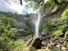 西表島カヌーツアーのんびりぷらぷら「のんぷら」の写真1