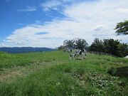 鶴亀松竹梅扇さんの東濃牧場の投稿写真3