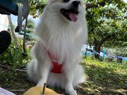 ちぃちゃんさんの山之上果樹園の投稿写真1