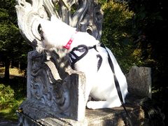 あやさんのアジアンオールドバザールへの投稿写真2