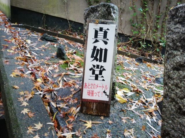バス停からかなりの登り坂を歩いてきました、励まされた看板(?)
_真如堂