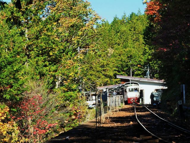 森林鉄道記念館 森林鉄道乗場_赤沢自然休養林