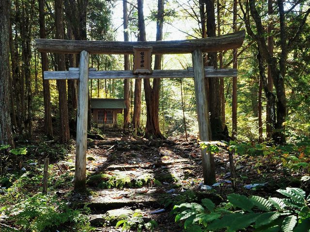 姫宮神社_赤沢自然休養林