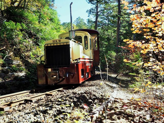 森林鉄道_赤沢自然休養林