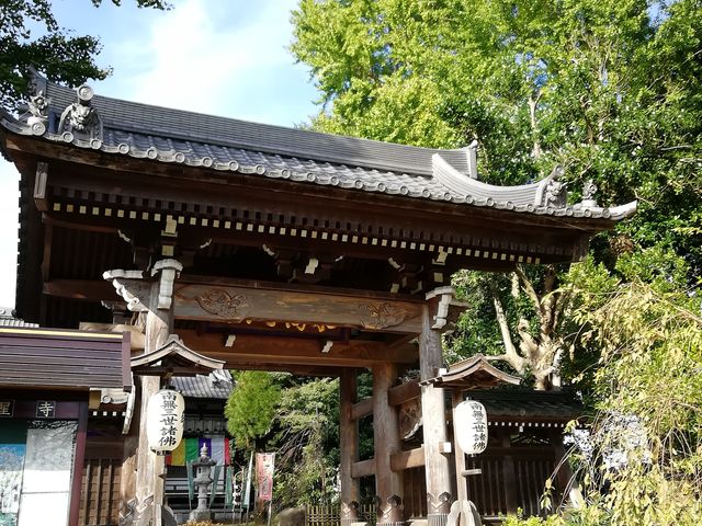 入り口。脇道には車椅子でも入れるようになっています。(自販機もあり)_徳星寺の大カヤ