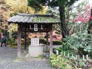 いざのりさんの今熊野観音寺の投稿写真3