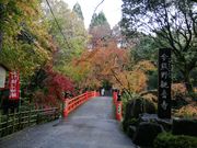 いざのりさんの今熊野観音寺の投稿写真5