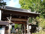 nayuさんの徳星寺の大カヤの投稿写真3