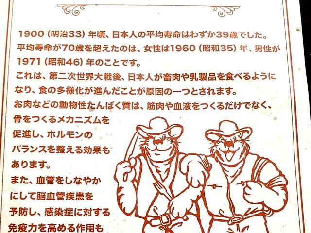 面白い雑学_ハングリータイガー センター南店