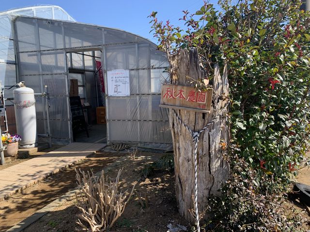 入り口も趣があってとても可愛いです!_秋本農園