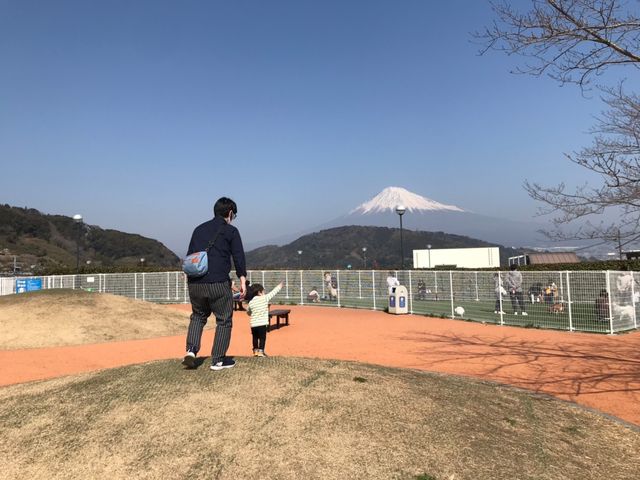 子供が登ったり降ったり運動できる広さがあります。_道の駅 富士川楽座