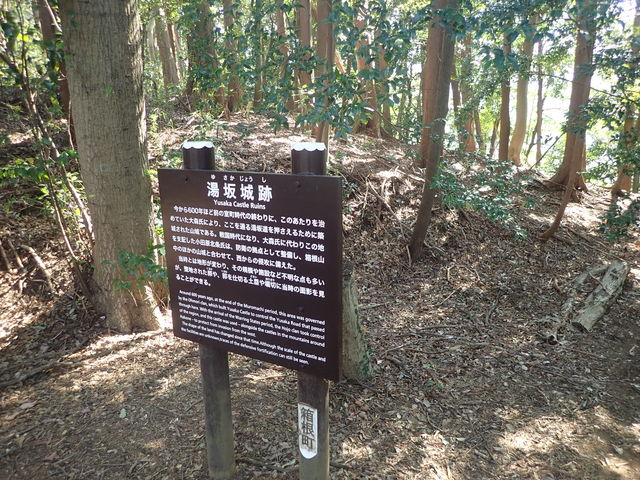 マイBOOさんの湯坂山の投稿写真1