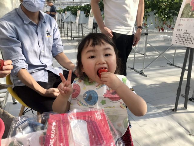 イチゴが美味しくて思わずピース!_いちご農園『ワイズアグリ』