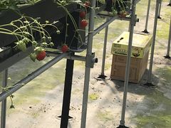 さんいんファームの写真1