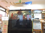 章男君さんのにしかわ 庚午の投稿写真2